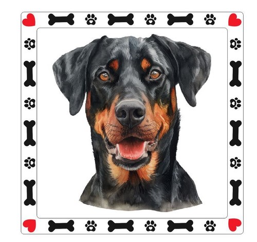 Adesivo cane beauceron - adesivo,