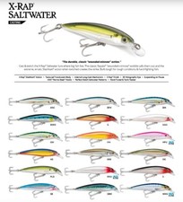 RAPALA X RAP SALTWATER SXR10 ARTIFICIALE PESCA SPINNING LURE SPIGOLA X-RAP 10
