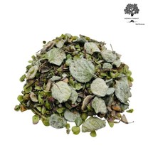 Foglie di Dittamo Greche