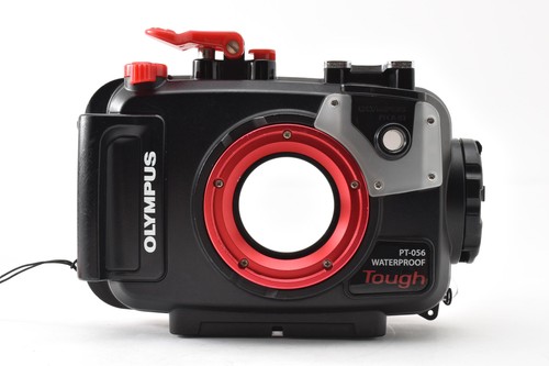Quasi mint olympus - [quasi, pt-056