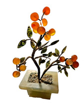 Bonsai di frutta cinese