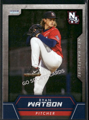 2025 new hampshire fisher cats - new,