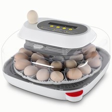 Incubatrice incubatrice