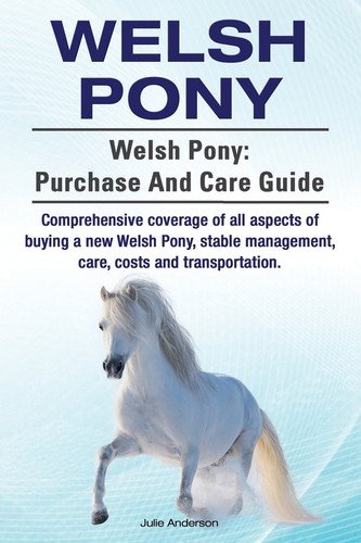 Julie anderson welsh pony - julie,