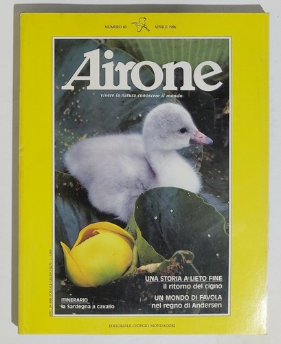 02576 airone 60 - 02576, nr
