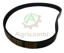 CINGHIE CINGHIA 5PK730