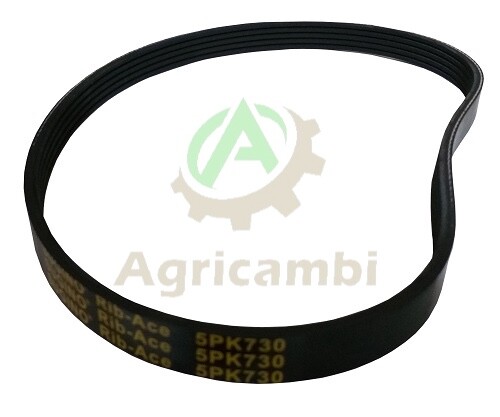 Cinghie cinghia 5pk730 - cinghie,