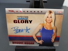 TNA Brooke Hogan 2013 Impact