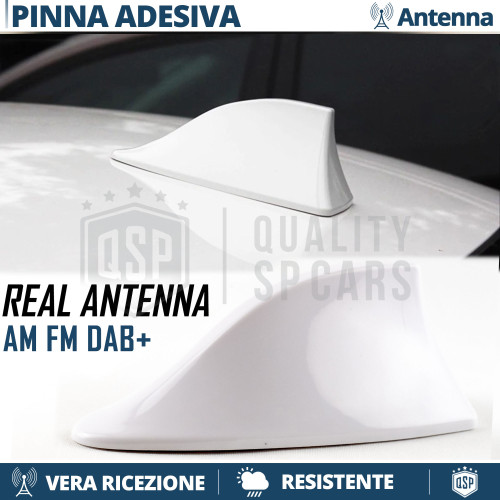 Antenna pinna squalo bianca - antenna,