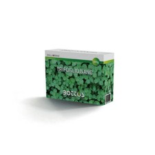 Semi trifoglio repens nano da