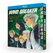 2024 Janpanese WIND BREAKER