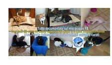 Emanuele Pandolfini (Palermo