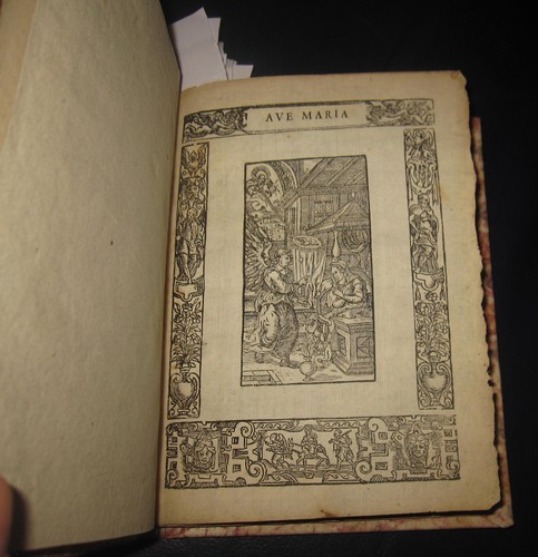 1595 policlinico milano - 1595, di