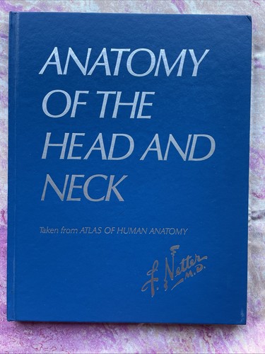 Anatomy the head - of, &