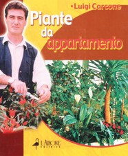 Piante da appartamento Carcone Luigi