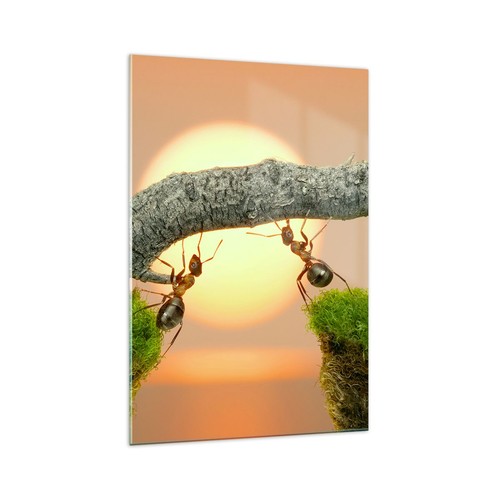 Quadro vetro 70x100cm - quadro, su