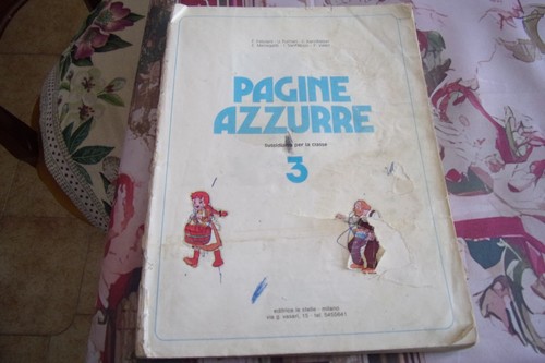 Pagine azzurre sussidiario - pagine,