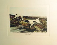Stampa incisione calcografia