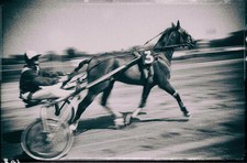 Trotter france 1996 - trotter, en
