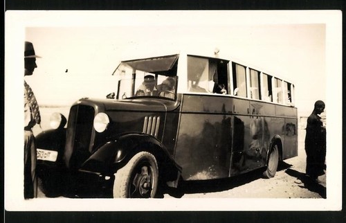 Fotografia autobus - autobus,