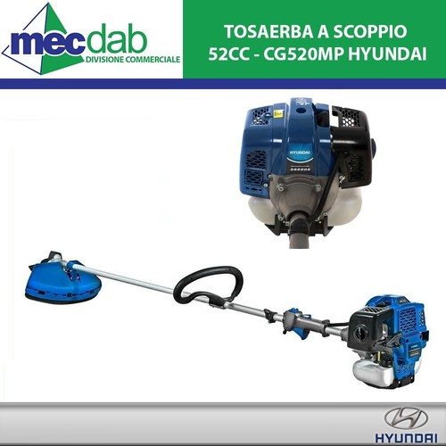 Decespugliatore scoppio 52 - decespugliatore,