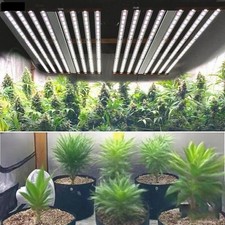 Luce LED Ragno Commerciale