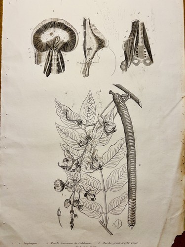 Tavolo antico rame 1834 - tavolo, in