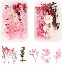 Fiori Secchi Naturali