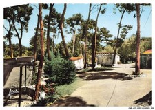 CAR-ACVP20-0976-83 -