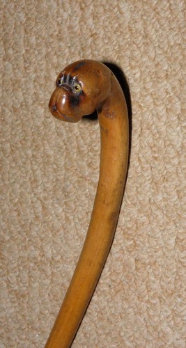 Antica canna esposizione - antica,