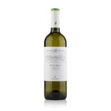 MÜLLER THURGAU TRENTINO DOC