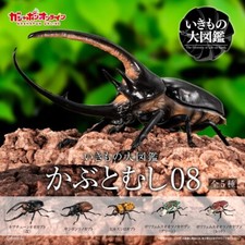 The Diversity of Life on Earth Beetle 08 Action Figure Bandai Online Gashapon