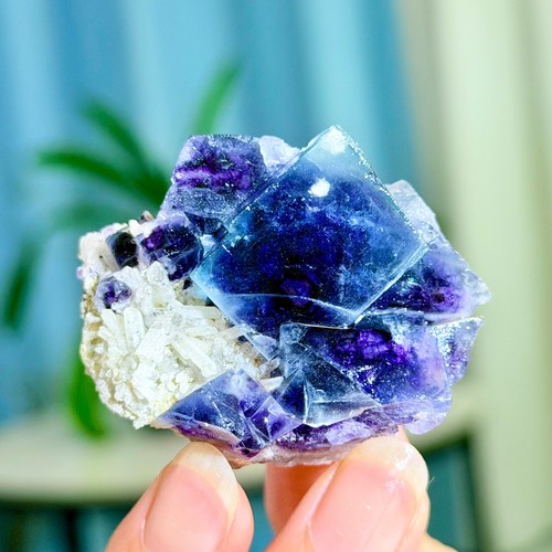 56g rara fluorite cubica viola - fluorite,