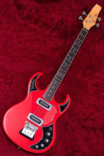 Burns Baldwin Baby Bison 22f