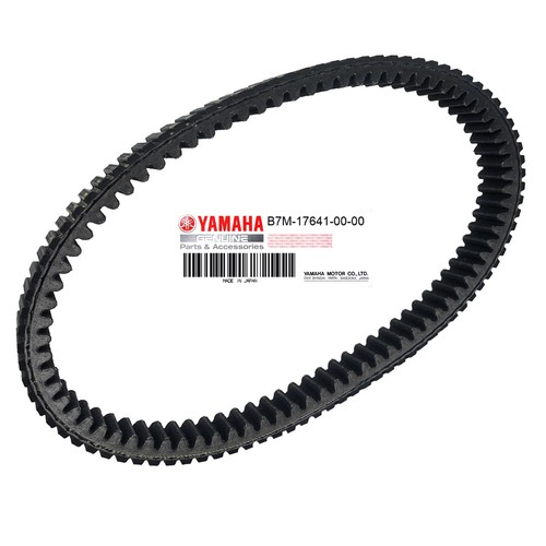 Cinghia trasmissione variatore - trasmissione,