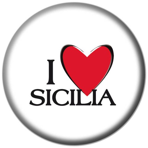 Magnete calamita spilla - calamita,