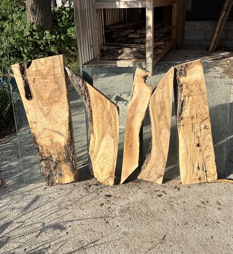 Tavole legno ulivo 5 - legno, di