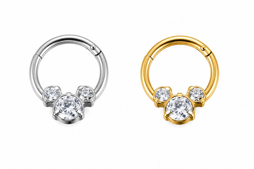 Cerniera septum clicker - septum, 3