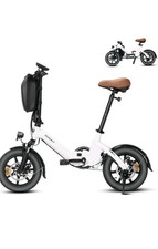 Bicicletta Elettrica