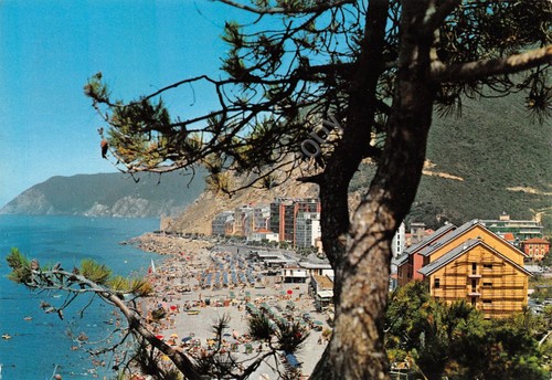 Cartolina deiva marina - cartolina,