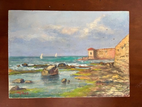 Pittore millus accademia - pittore,