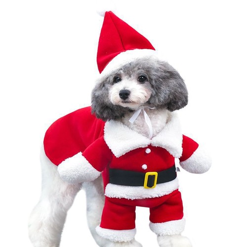 Costumi natalizi cane gatto