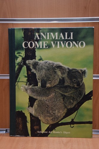 Animali come vivono selezione - animali,
