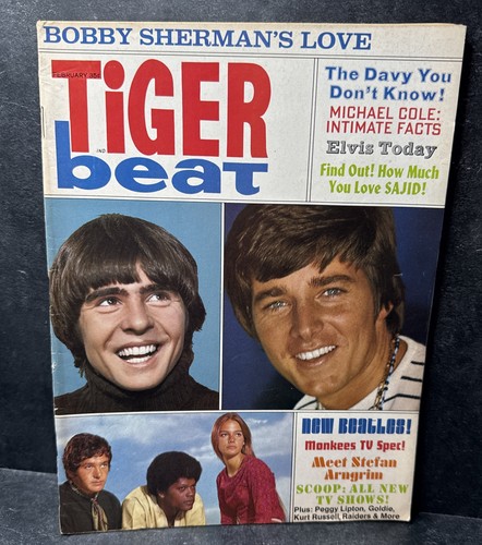 Tiger beat february 1967 - tiger,