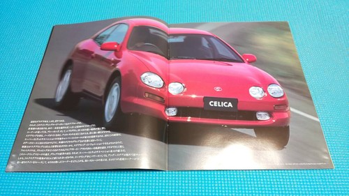 Firm 202 celicearly - firm,