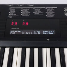 Yamaha DX7 II OLED Display