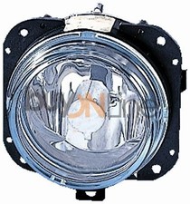 FENDINEBBIA DESTROSINISTRO