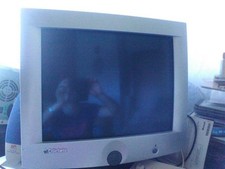 Monitor Olidata Vintage Per Retro PC Games MR 1711 CRT Catodico