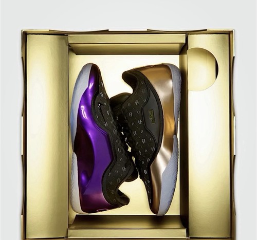 Nike lebron the - 23, "the