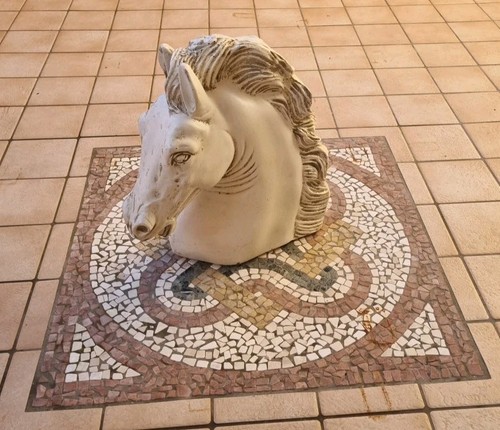 Testa cavallo polvere - cavallo,